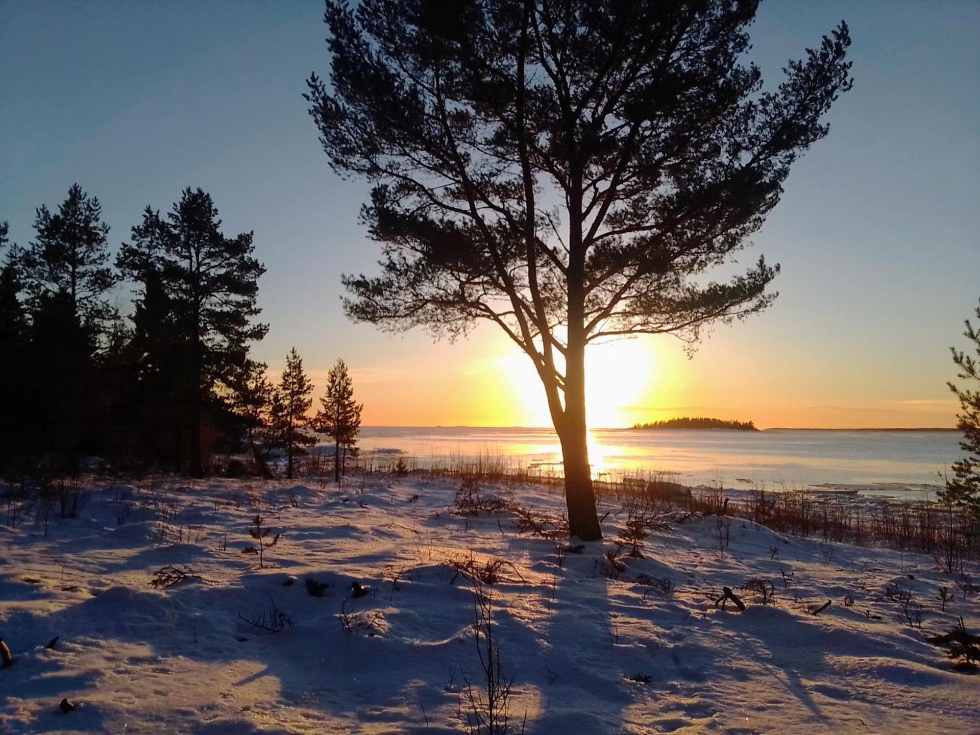 Havsnaera Villa Nordmaling Buitenkant foto
